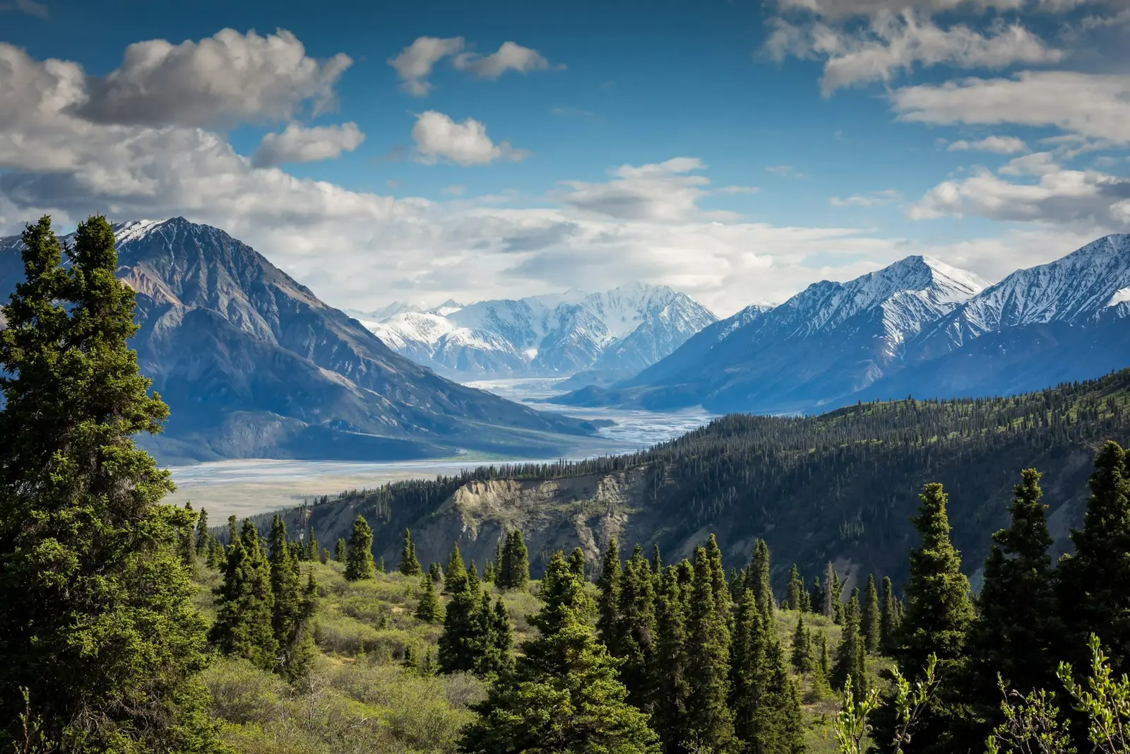 Web design across the Local Cochrane Web Design service area — forested foothills opening to a broad valley and the snow-capped Rocky Mountains of the Alberta west