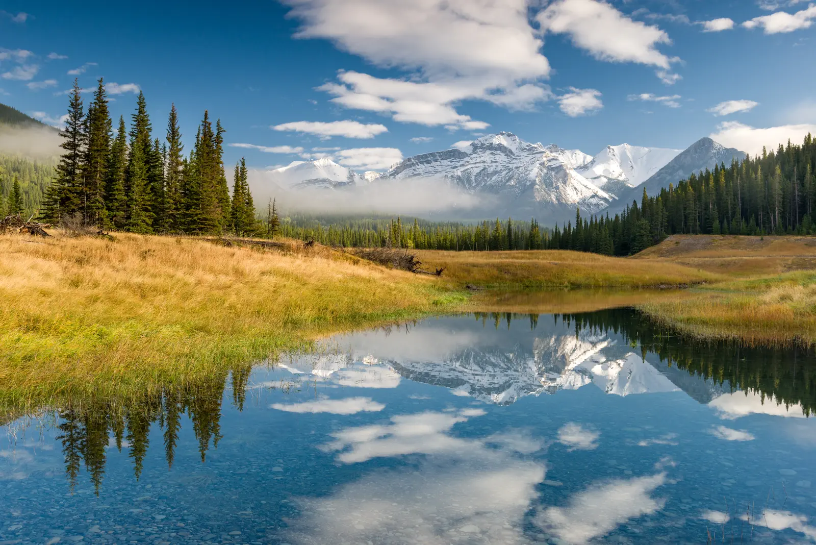 Web design services across Elbow Valley, Alberta — Rocky Mountains at dawn — Alberta foothills and mountain landscape west of Calgary