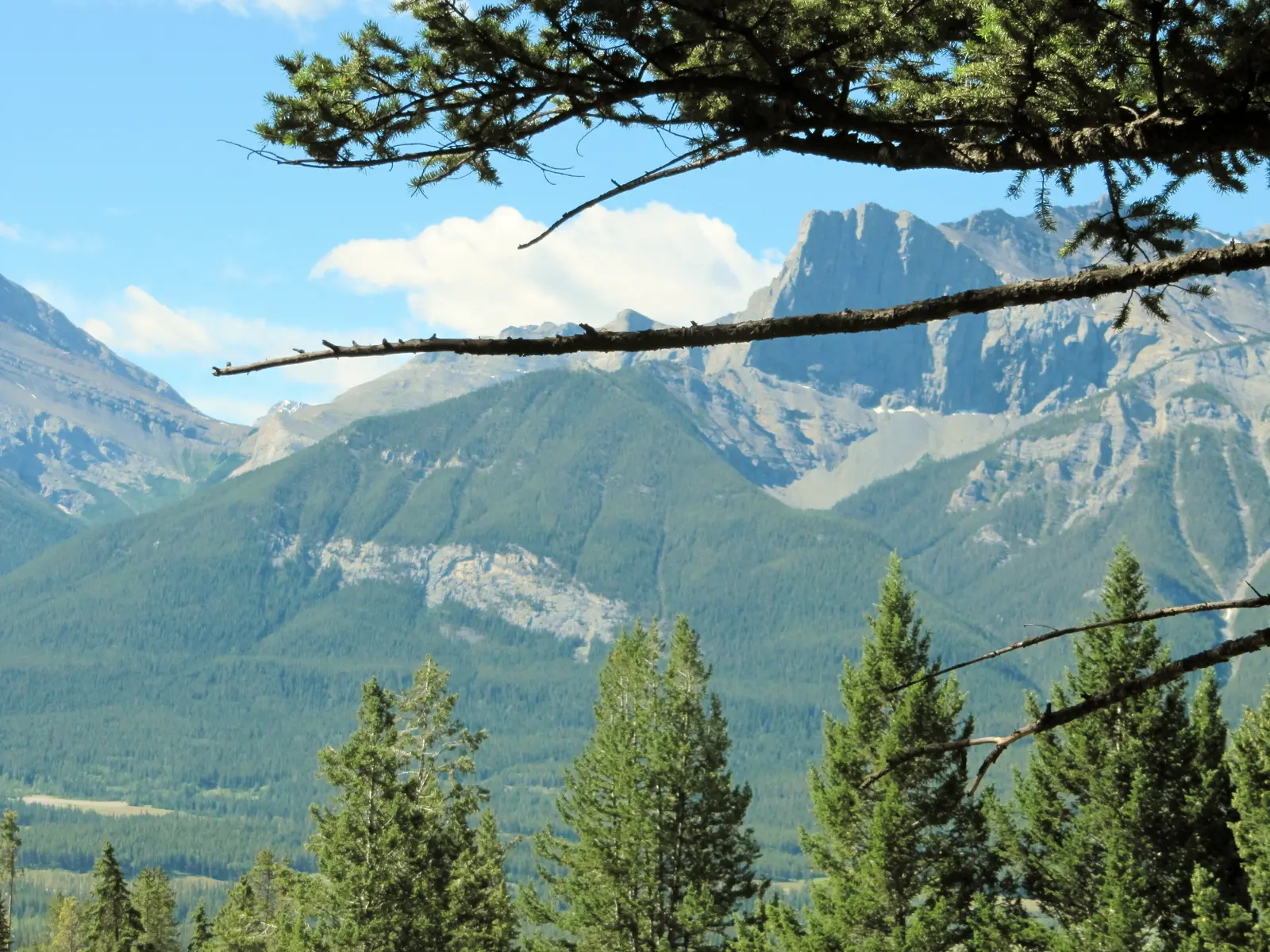 Web design in Silvertip Resort, Canmore, Alberta — Bow Valley panoramic view from Silvertip, Canmore — mountain resort elevation perspective