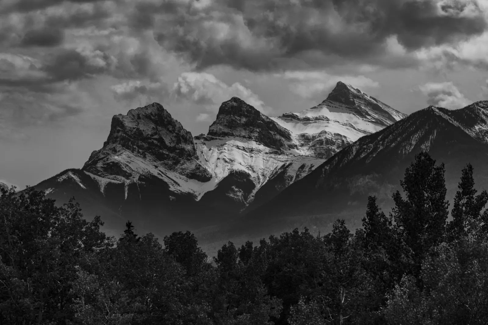 Web design in Larch, Canmore, Alberta — Larch, Canmore Alberta — established neighbourhood with tree-lined streets and proximity to Quarry Lake and Grassi Lakes trails