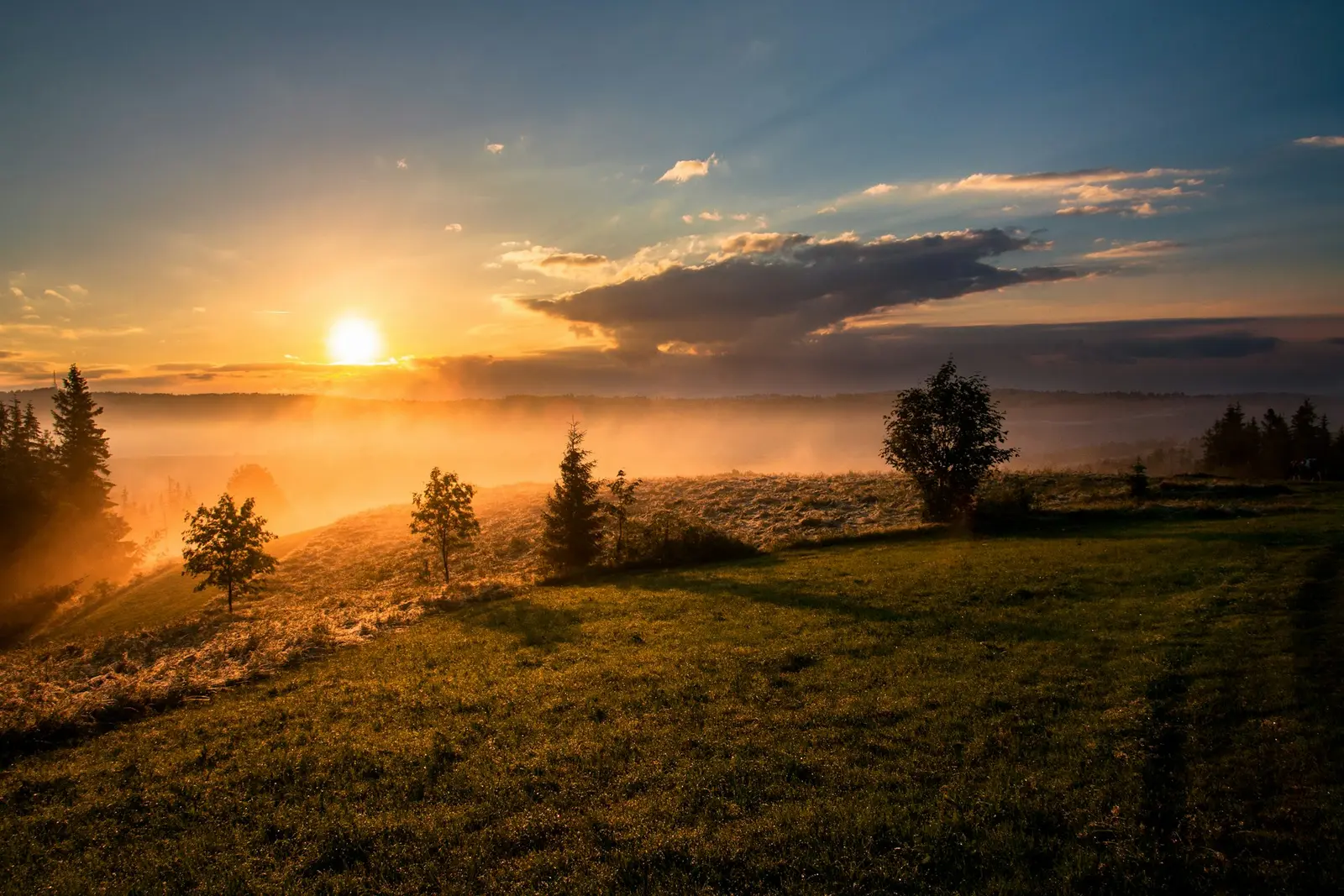 Web design services across Red Deer Central, Alberta — golden sunrise over the parkland and river valley of central Alberta around Red Deer